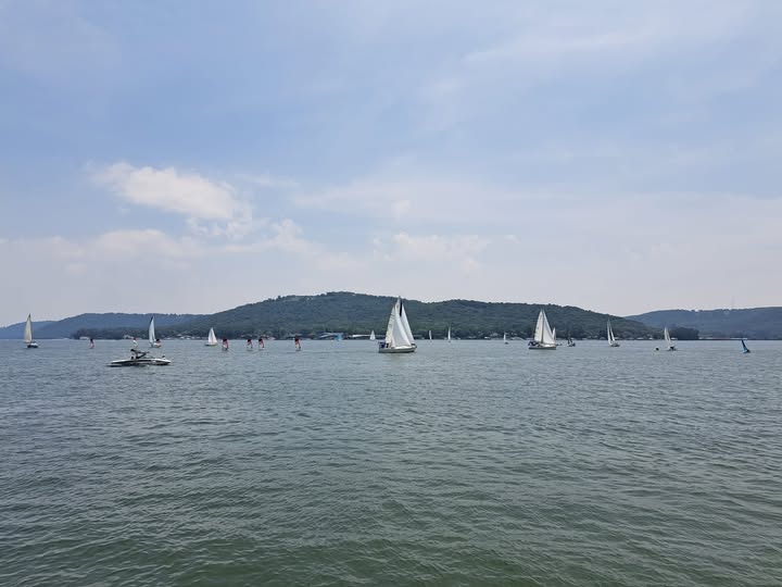 Mayor's Cup Regatta