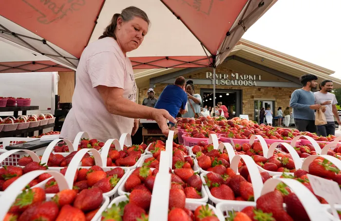 https://alabama-travel.s3.amazonaws.com/partners-uploads/photo/image/69af06324856fe0002a71d1e/83964356007-tus-tuscaloosa-farmers-market-gc-4851.png
