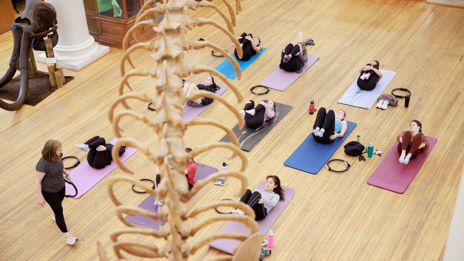 Movement in the Museum: Home Stretch Pilates
