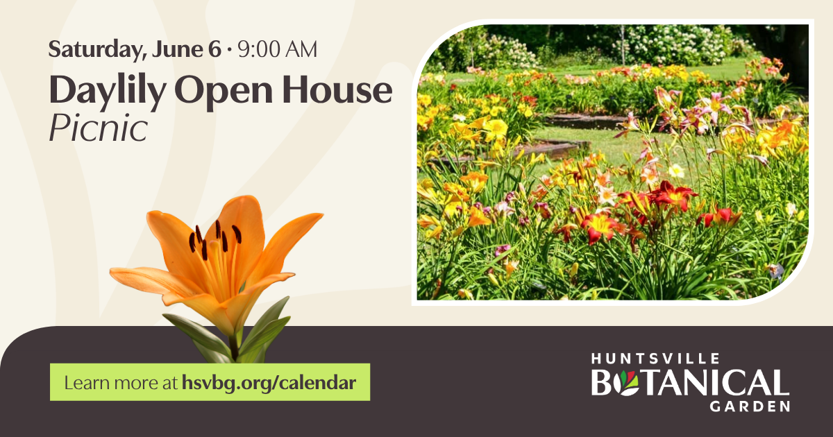 Daylily Open House Picnic