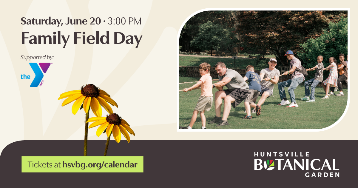 Family Field Day