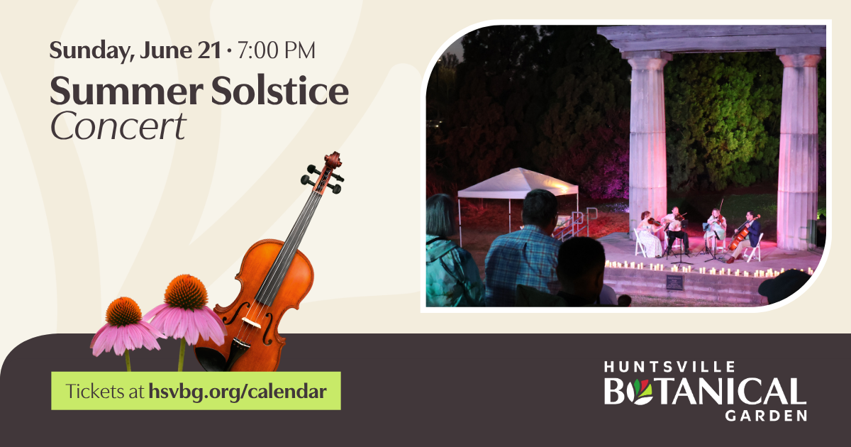 Summer Solstice Concert