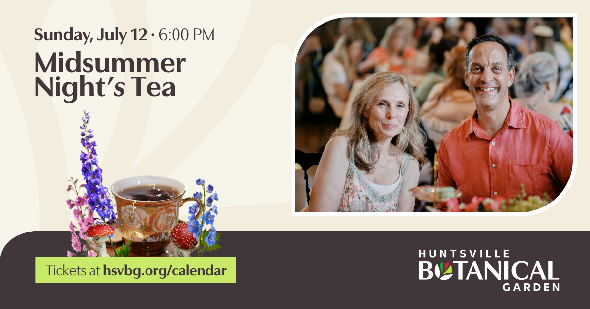 Midsummer Night’s Tea