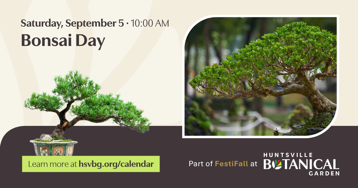 Bonsai Day