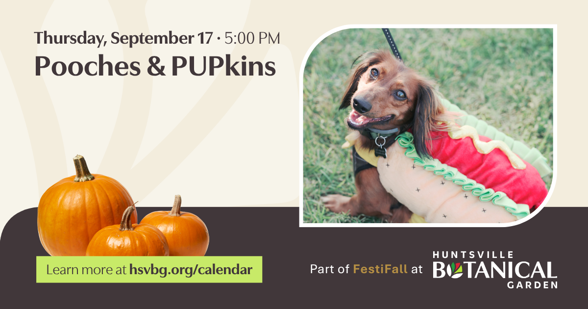 Pooches & PUPkins