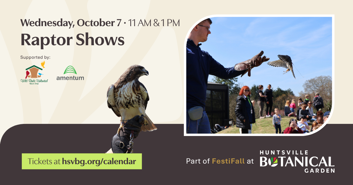 Raptor Show