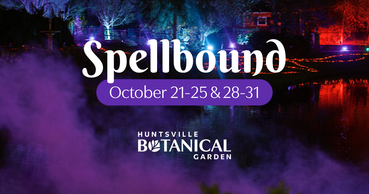 Spellbound
