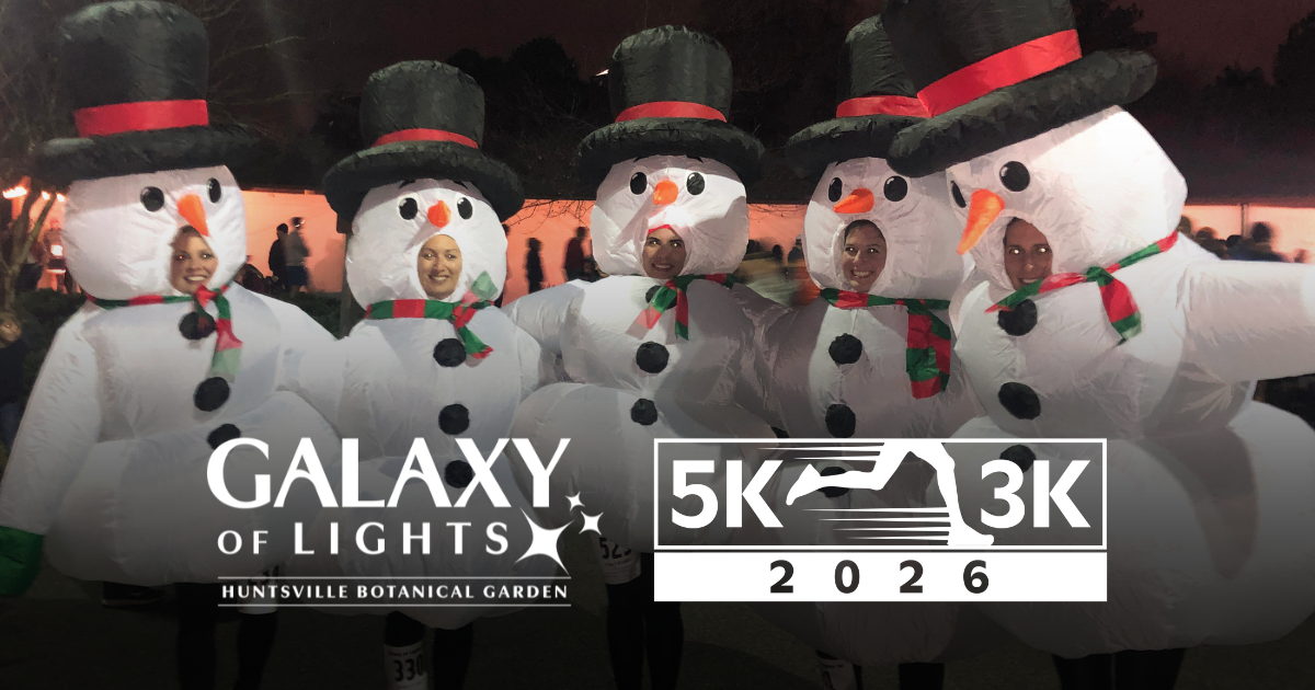 Galaxy of Lights · 3k Fun Run