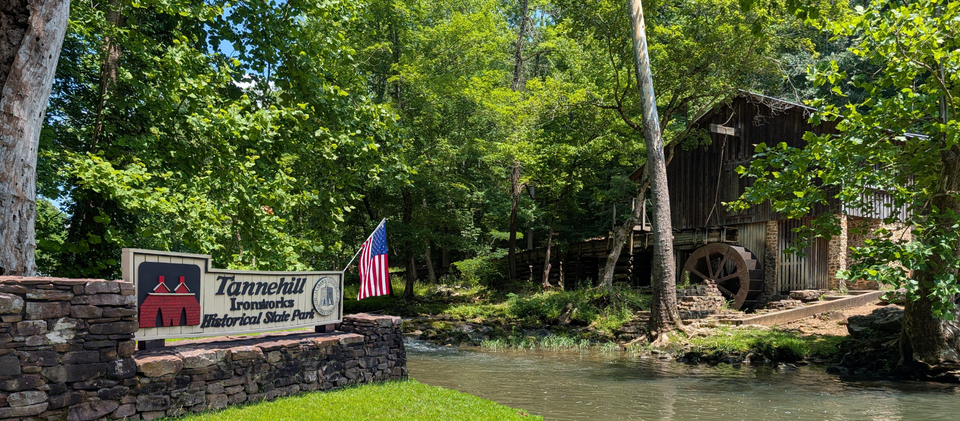 Labor Day Celebration & Moon Pie Eatin' Contest