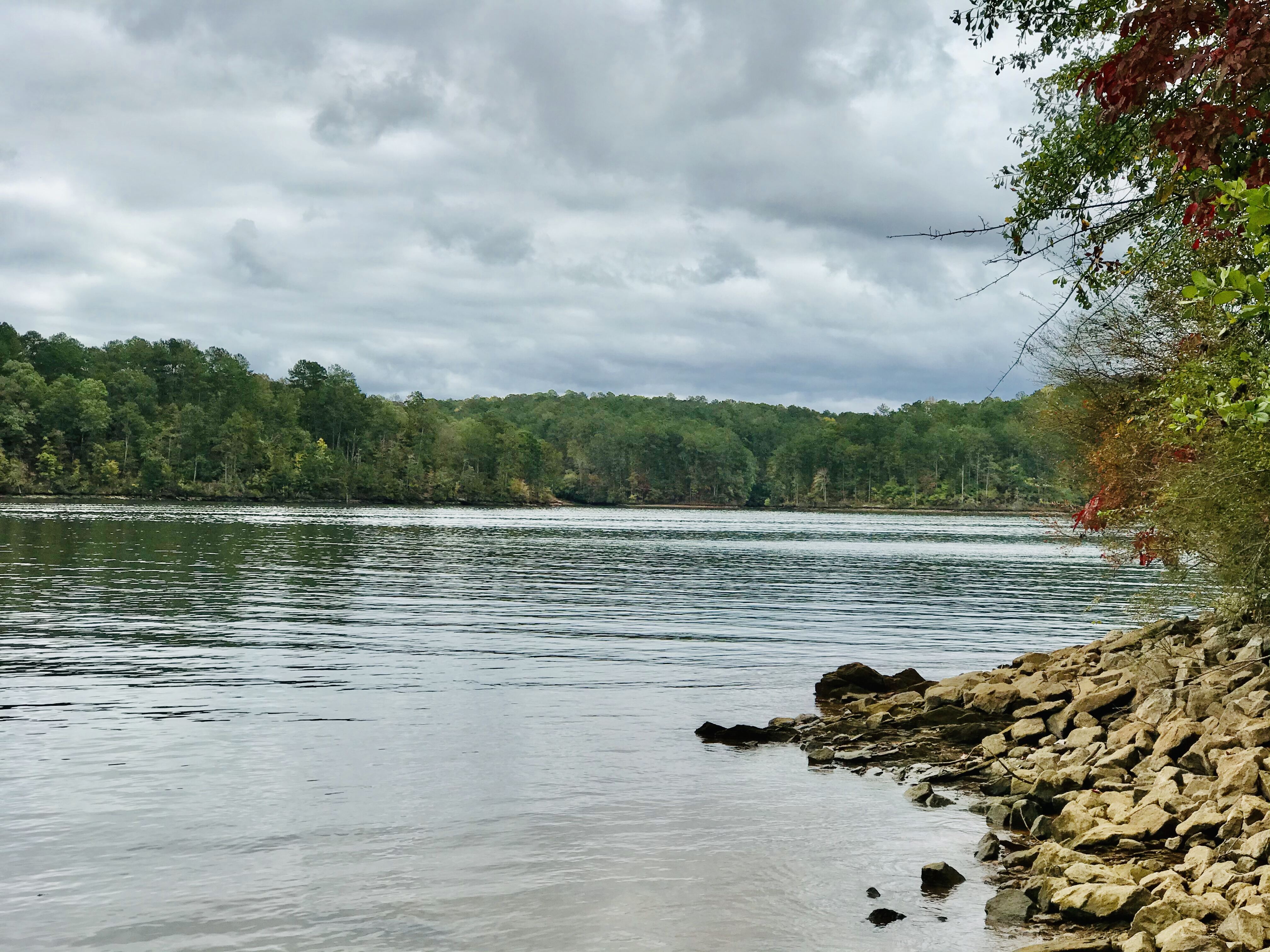 Wedowee, AL: Authentic Flavors and Lake Wedowee