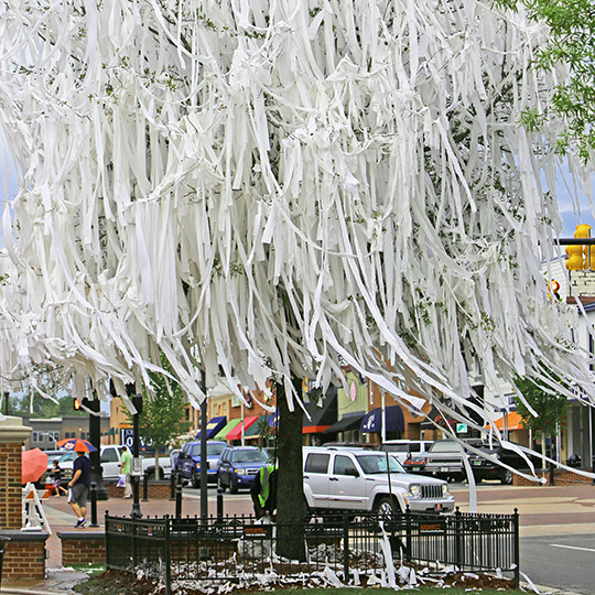 Downtown Toomer's oak trees rolled with toilet paper after an Auburn University win in Auburn, Alabama.