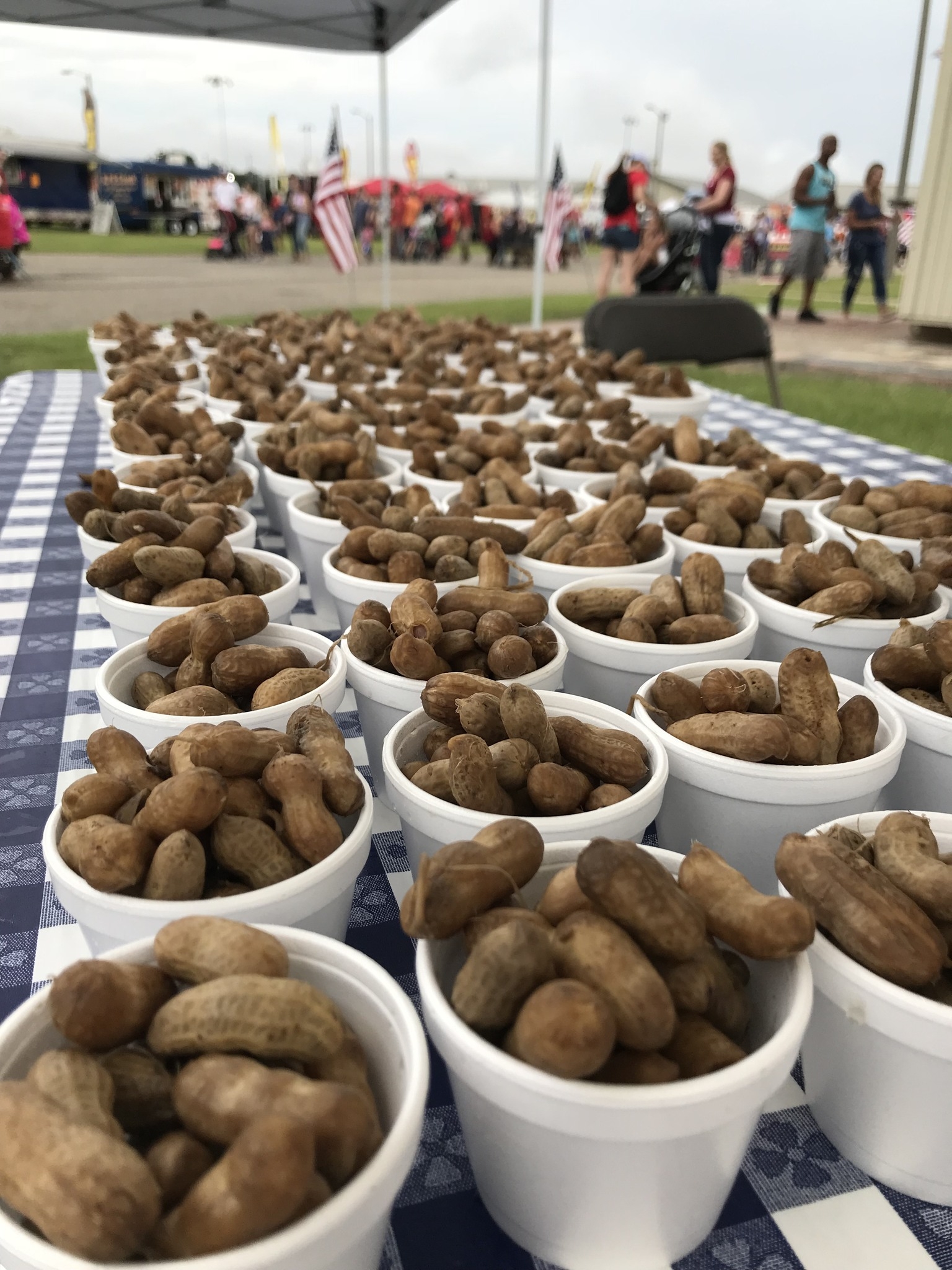A collection of large bowls full of peanuts at the National Peanut Festival in Dothan, AL