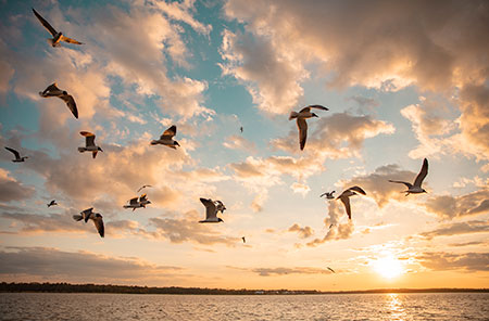 Alabama’s Coastal Connection National Scenic Byway