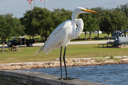 Create Your Own Classroom on Alabama’s Gulf Coast