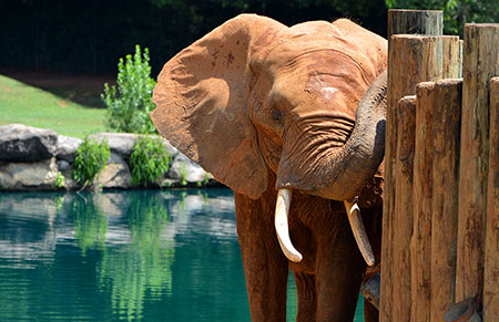 Experiencing Montgomery beyond Downtown